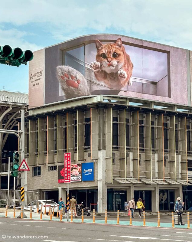 Keelung 3D billboard cat