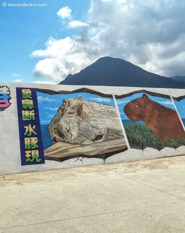 Taiwan Capybara Rock in Shen’ao