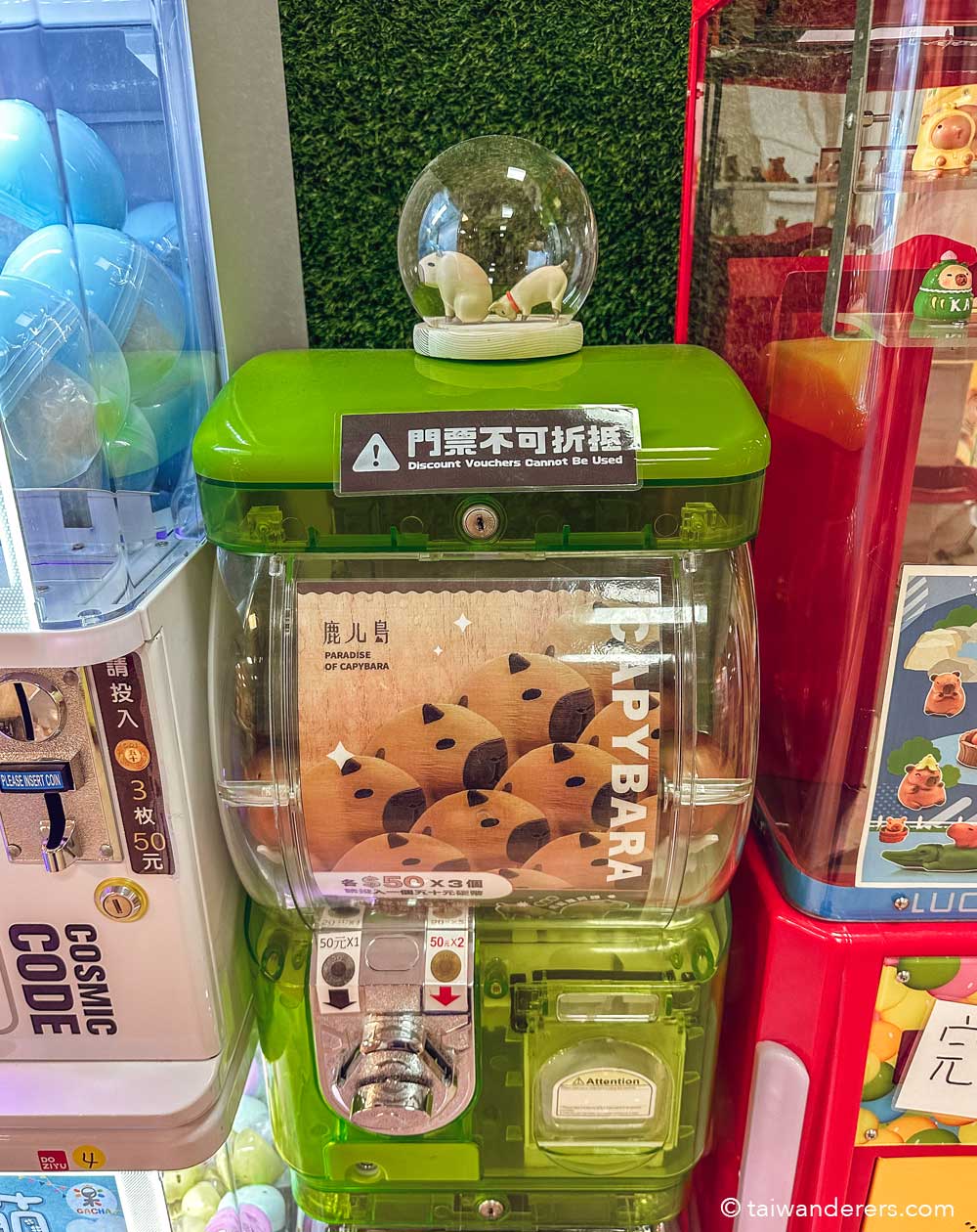 Taiwan’s Capybara Paradise in Hengchun, Pingtung 墾丁鹿ㄦ島水豚生態園區 - Taiwanderers