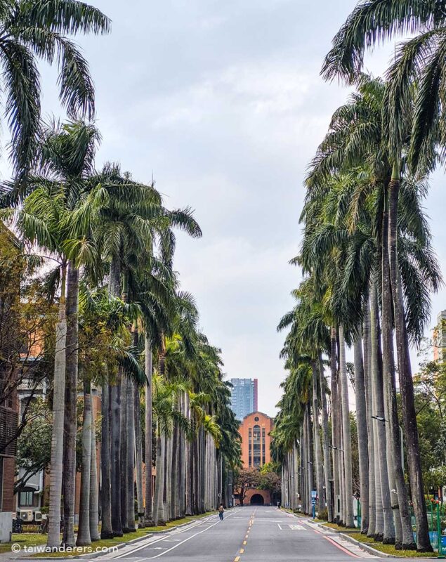National Taiwan University Gongguan Taipei