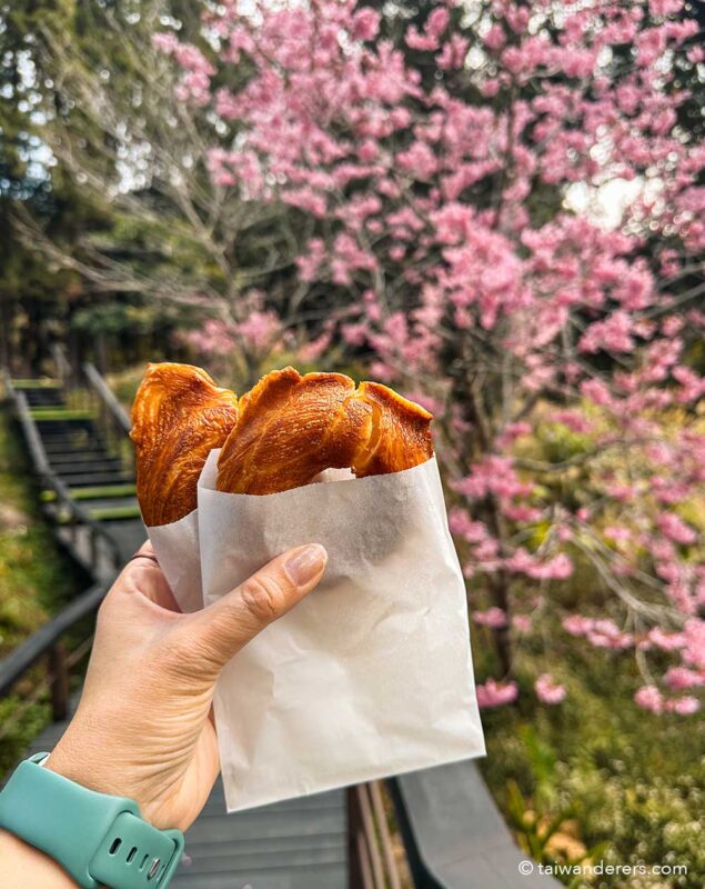 Fenqihu Donut stall / 奮起湖現烤甜甜圈.百年檜木甜甜圈