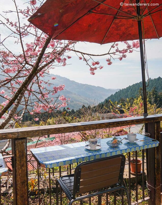 Fenqihu Old Street Taiwan Songyue Manor Coffee Below Shan Lan amazing house BB
