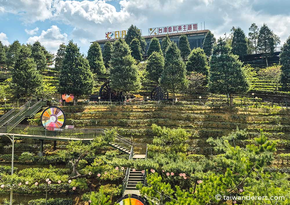 HOHOCHA tea - Taiwan Sun Moon Lake Black Tea Factory 喝喝茶