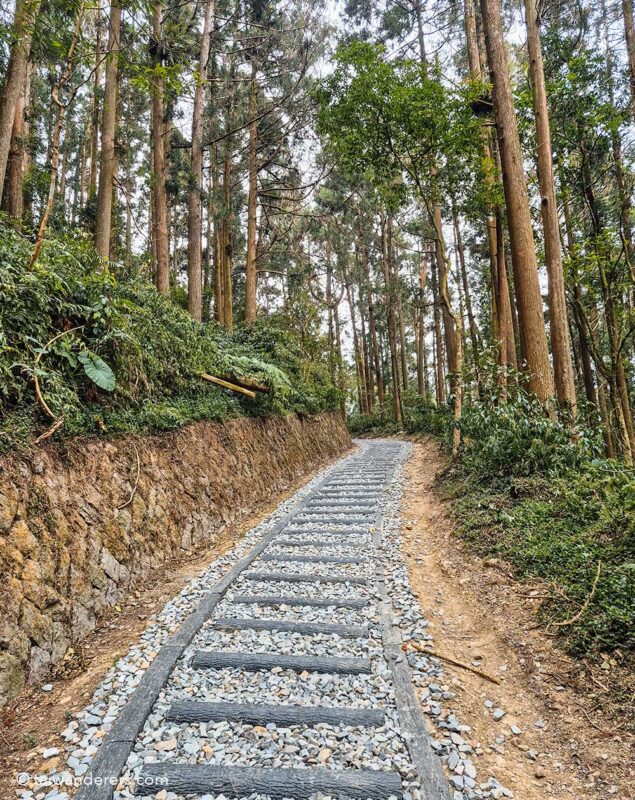 Fenqihu Logging Track