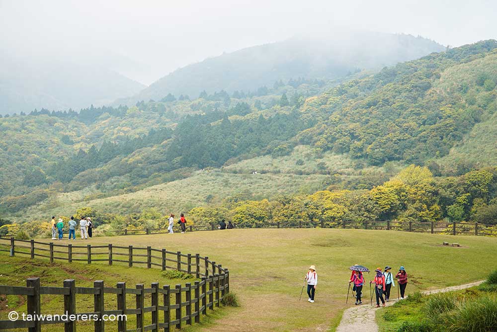 Qingtiangang Grassland in Yangmingshan National Park - a day trip from Taipei
